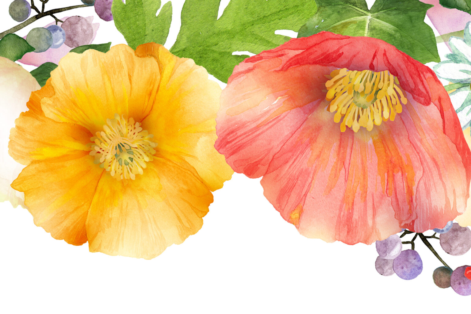 horticulture-club-plant-sale-illinois-central-college